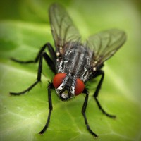 /album/cydia-sources-downloads/photolia-a01-jpg/