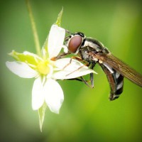 /album/cydia-sources-downloads/photolia-a02-jpg/