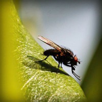 /album/cydia-sources-downloads/photolia-a04-jpg/