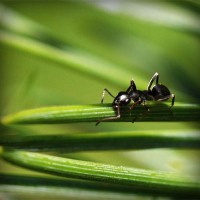 /album/cydia-sources-downloads/photolia-a05-jpg/