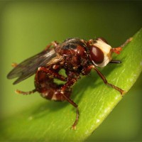 /album/cydia-sources-downloads/photolia-a06-jpg/