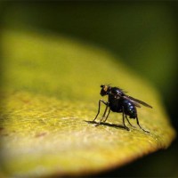 /album/cydia-sources-downloads/photolia-a07-jpg/