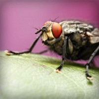 /album/cydia-sources-downloads/photolia-a08-jpg/